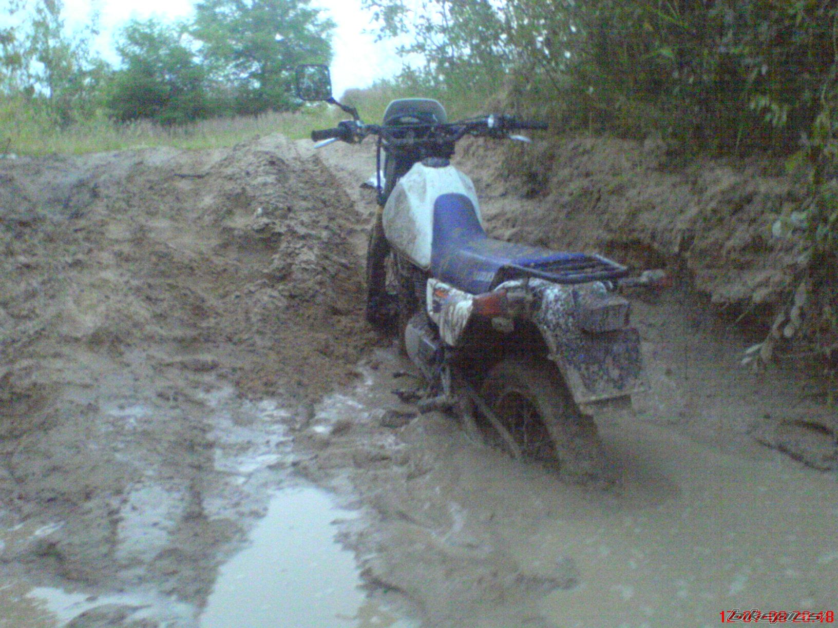 1998 SUZUKI DR 125 | Picture 1556827 motorcycle photo