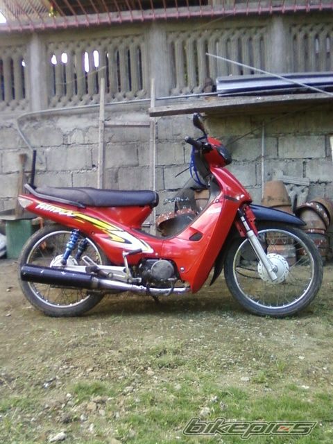 2009 HONDA WAVE ALPHA 100 | Picture 1557029 motorcycle photo