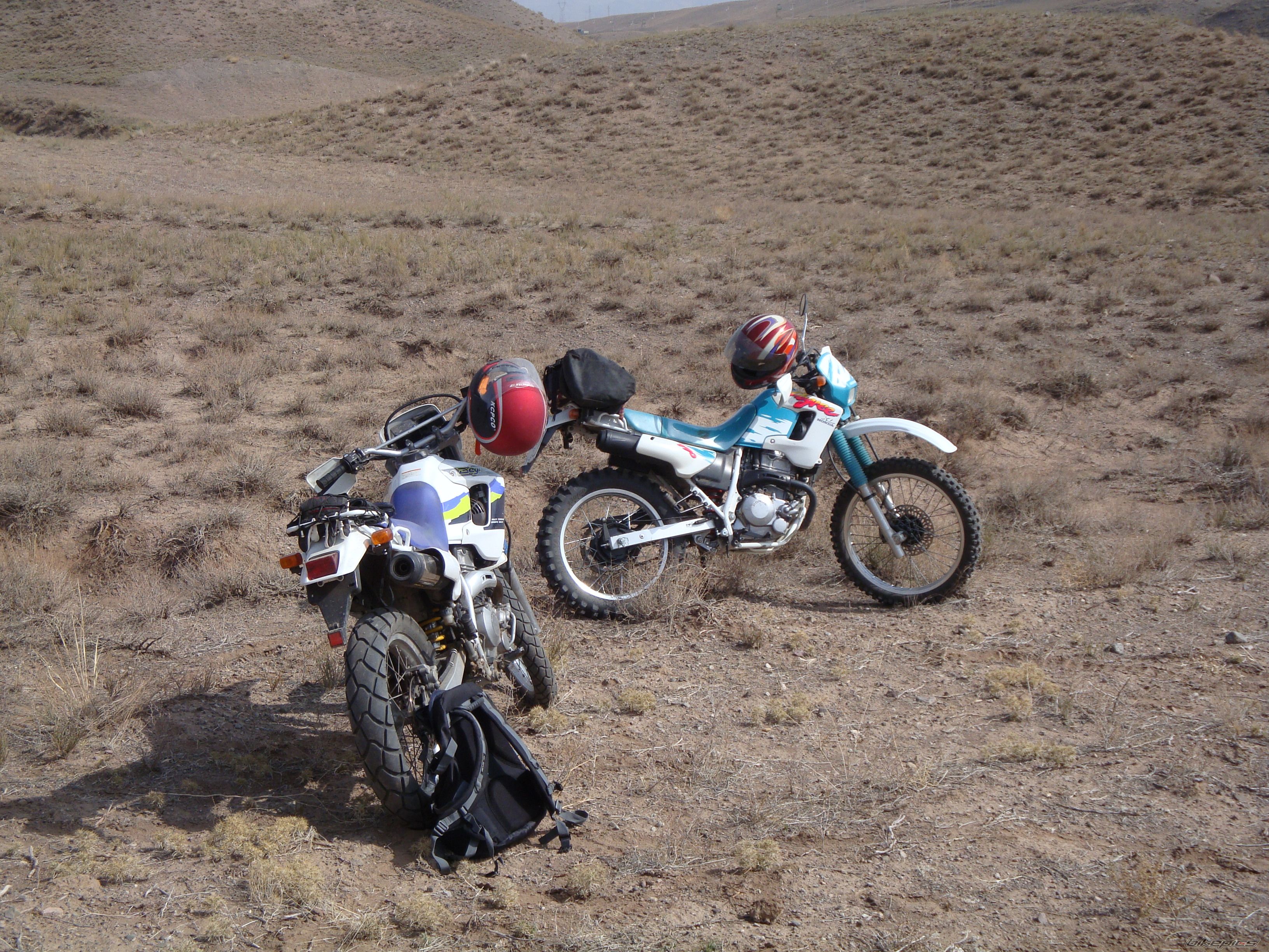 1997 HONDA XL 250 | Picture 1557055 motorcycle photo