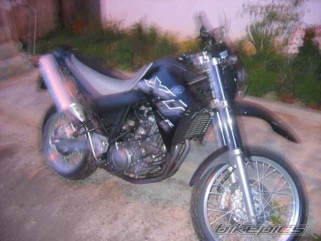 2004 YAMAHA XT 600 | Picture 155714 motorcycle photo