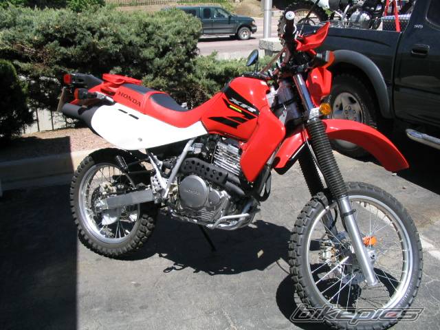 2004 HONDA XR 650 | Picture 155731 motorcycle photo