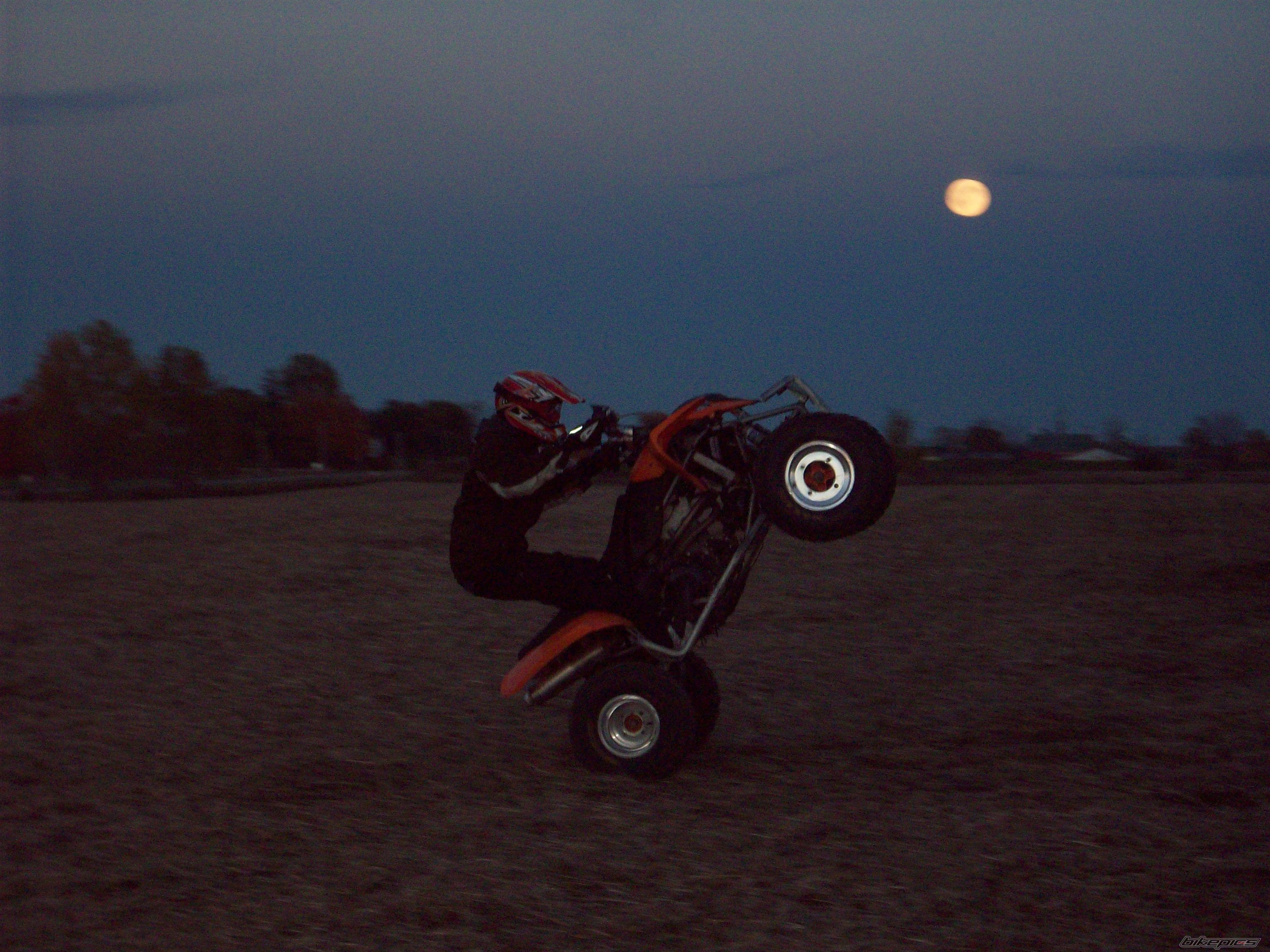 2005 POLARIS PREDATOR 500 | Picture 1557993 motorcycle photo