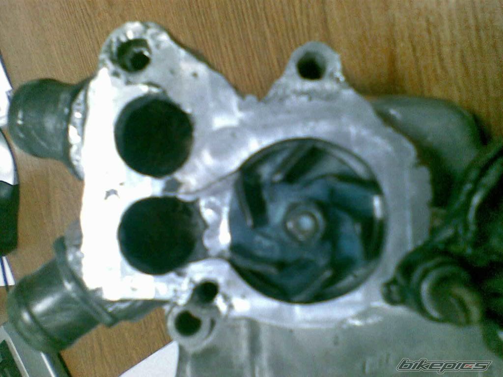1986 HONDA CR 500 | Picture 1558707 motorcycle photo
