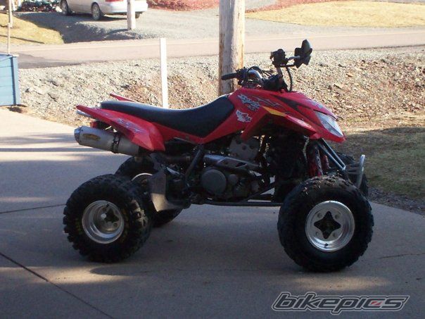    | Picture 1558765 motorcycle photo