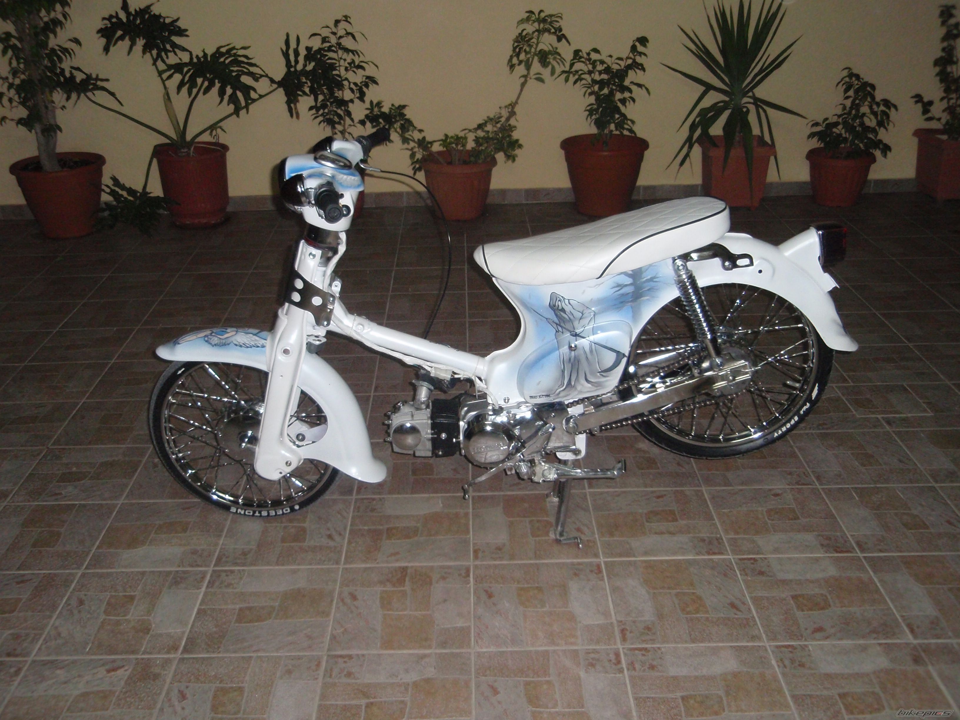 2009 HONDA C 50 | Picture 1559525 motorcycle photo
