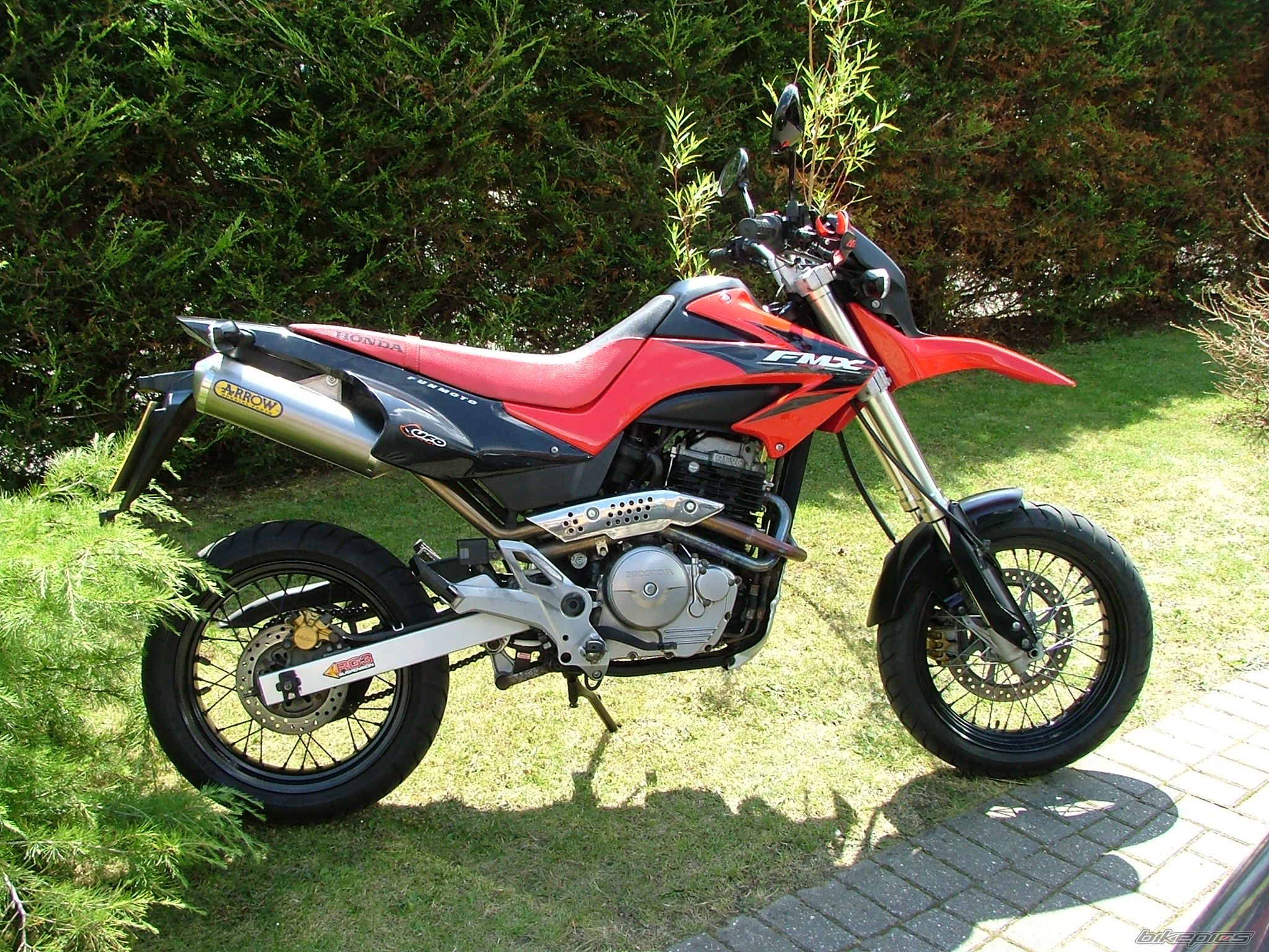 2005 HONDA FMX 650 FUNMOTO | Picture 1560591 motorcycle photo