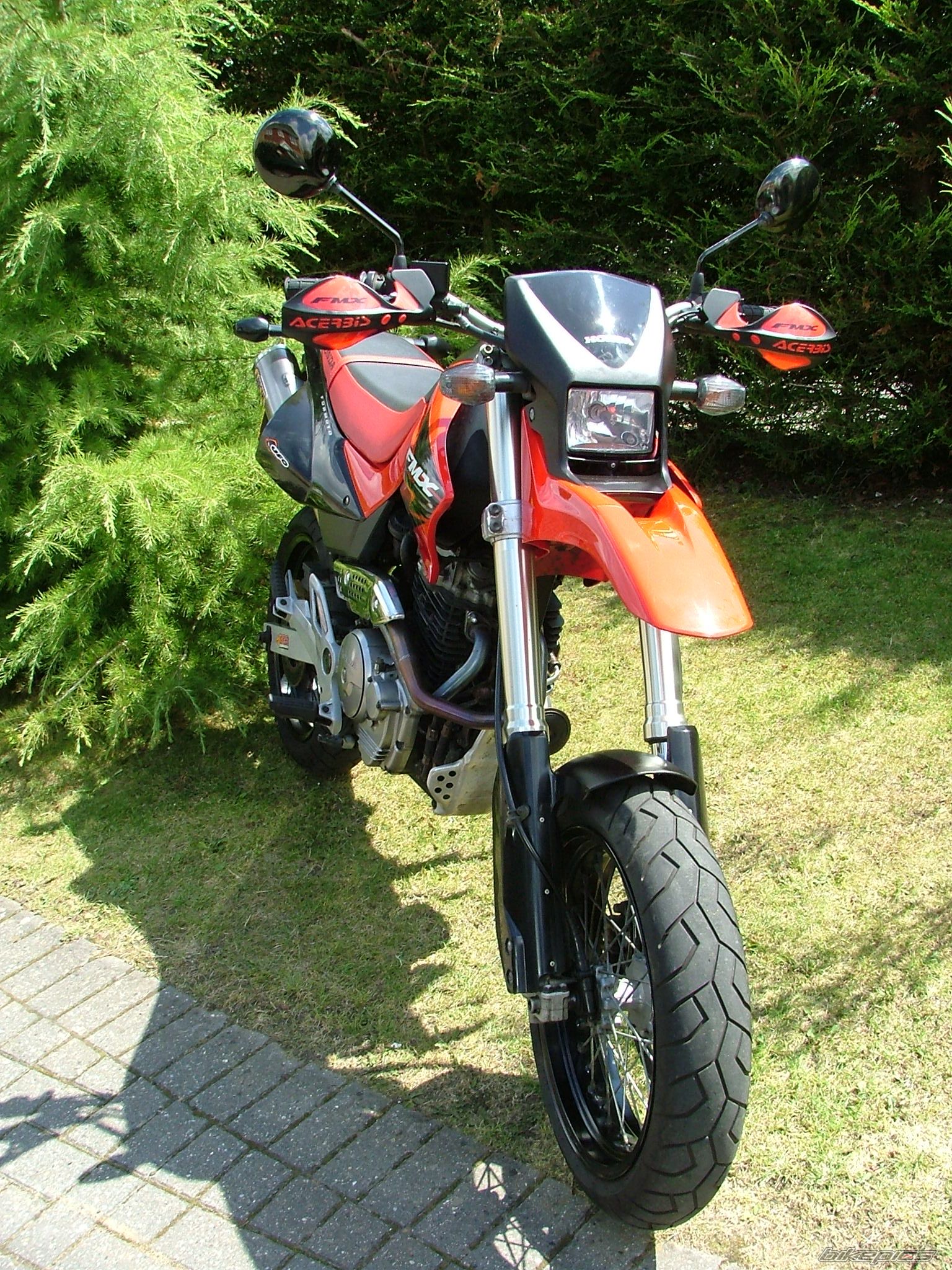 2005 HONDA FMX 650 FUNMOTO | Picture 1560597 motorcycle photo