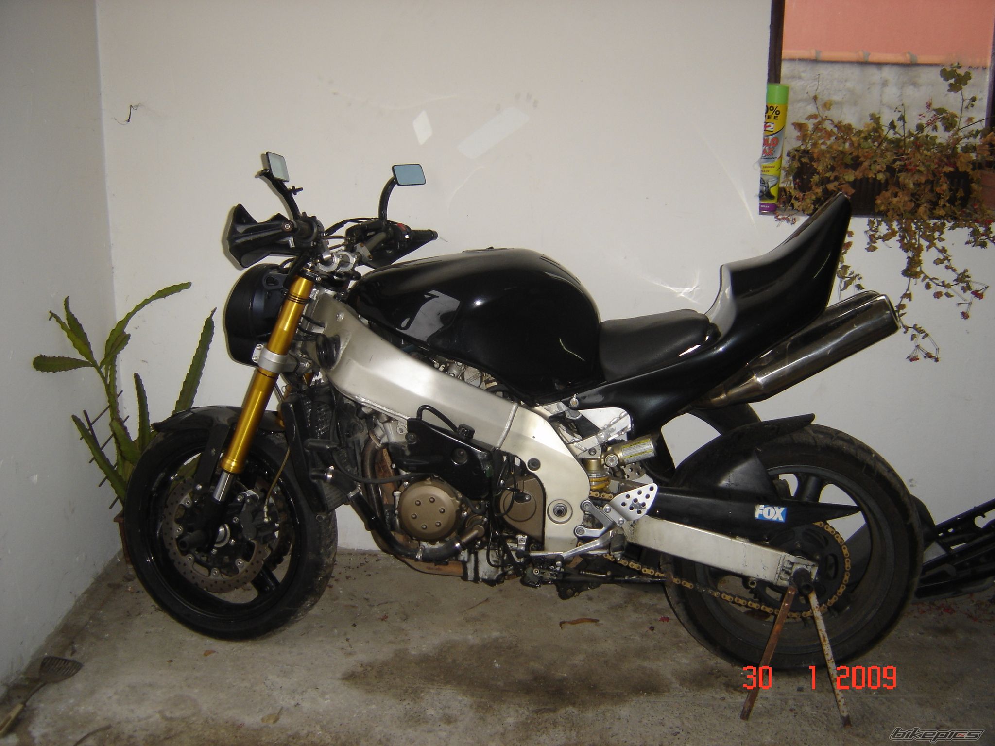 1998 KAWASAKI ZX 9R | Picture 1560746 motorcycle photo