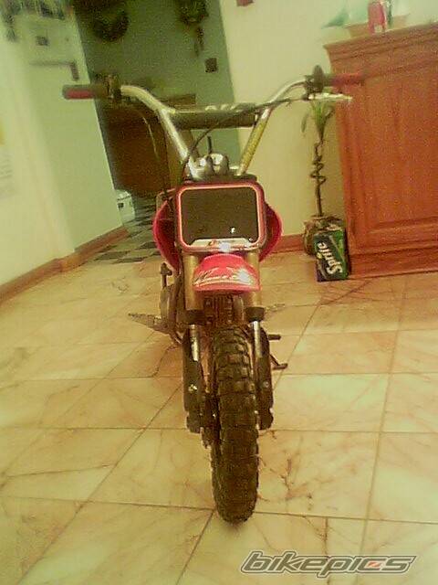 2003 HONDA XR 50 | Picture 156076 motorcycle photo