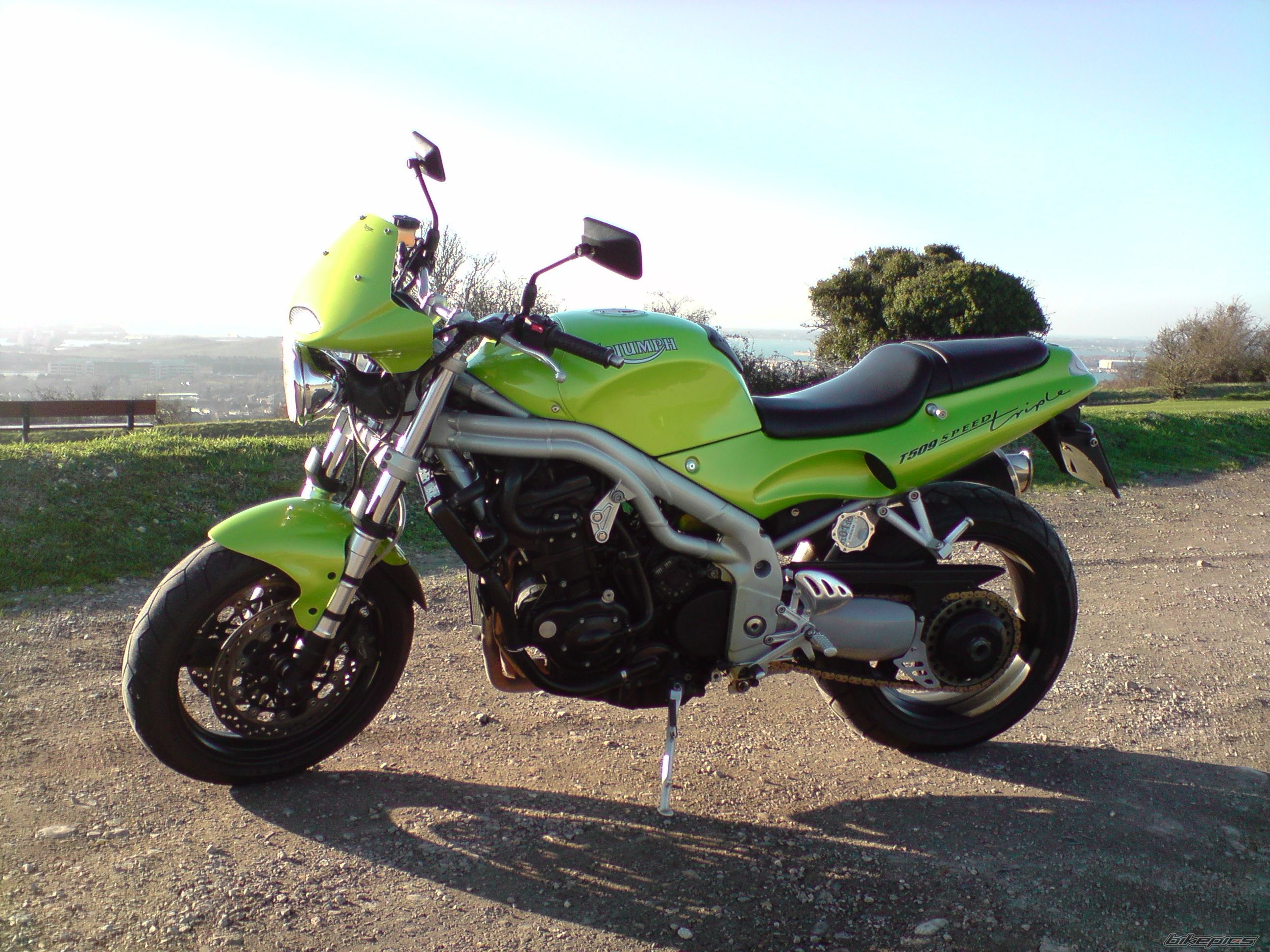 1998 TRIUMPH SPEED TRIPLE | Picture 1561142 motorcycle photo