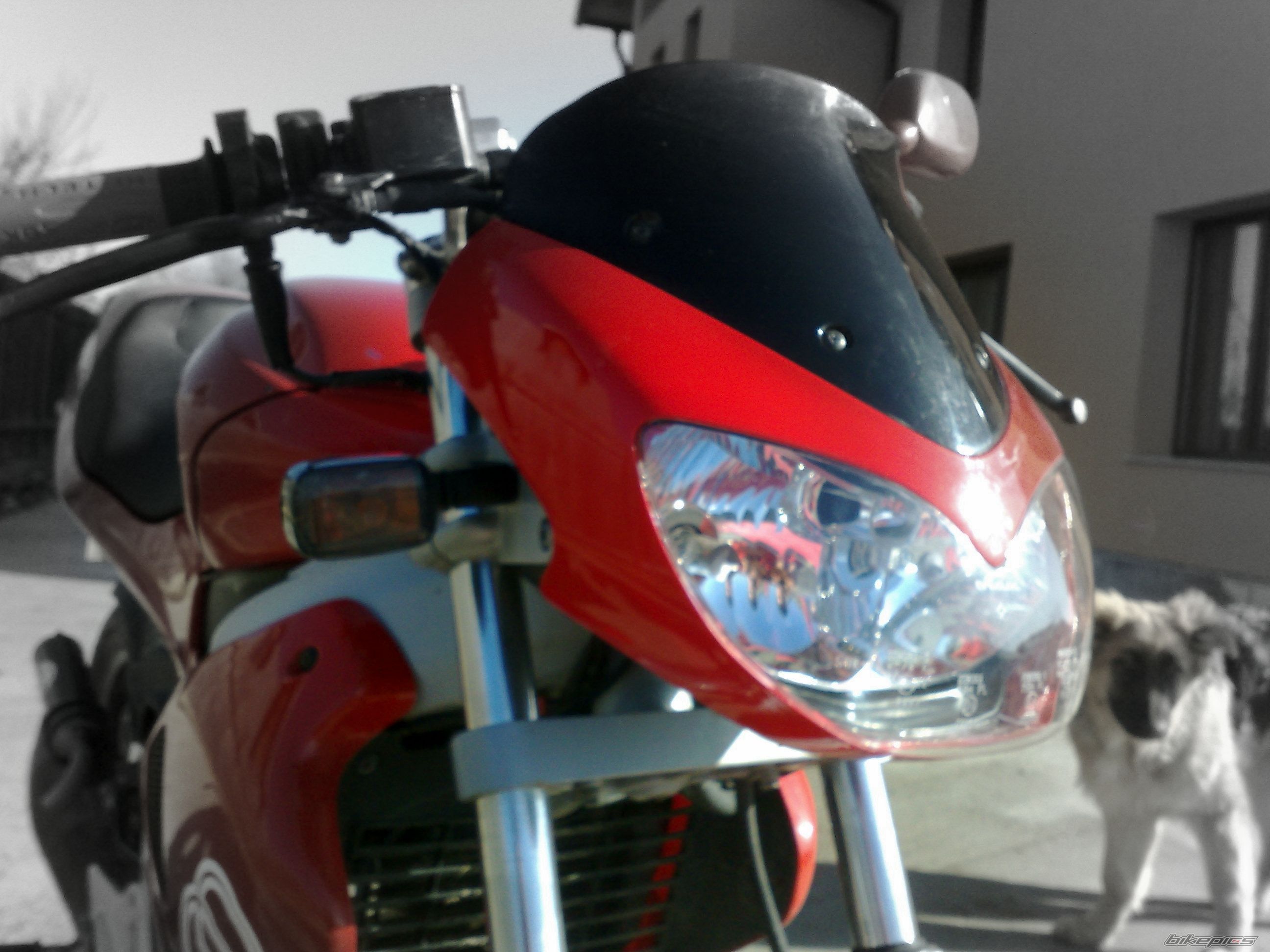 2004 GILERA DNA | Picture 1561210 motorcycle photo