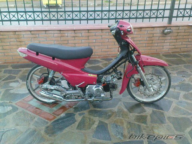 2009 HONDA GLX 50 | Picture 1561491 motorcycle photo