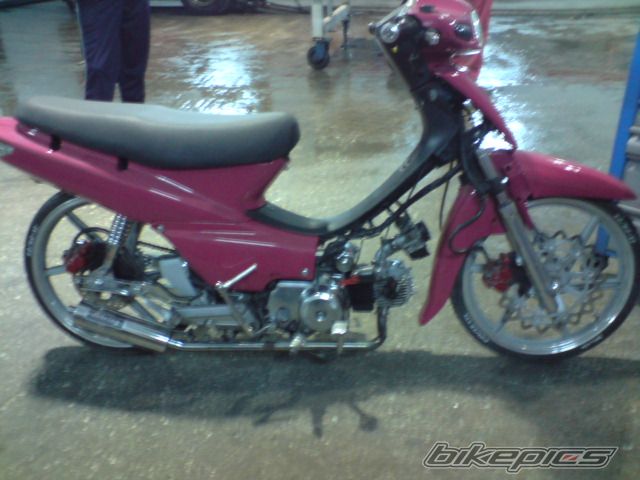 2009 HONDA GLX 50 | Picture 1561493 motorcycle photo