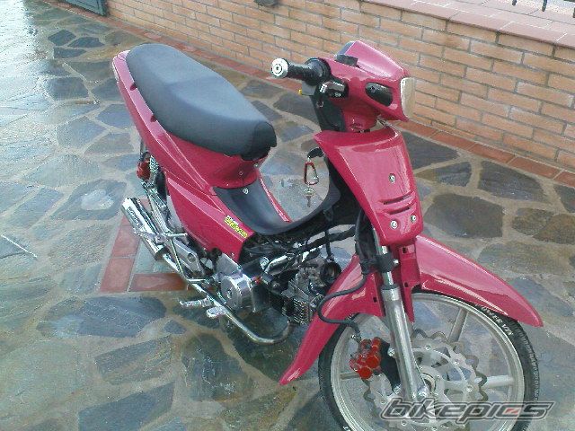 2009 HONDA GLX 50 | Picture 1561494 motorcycle photo