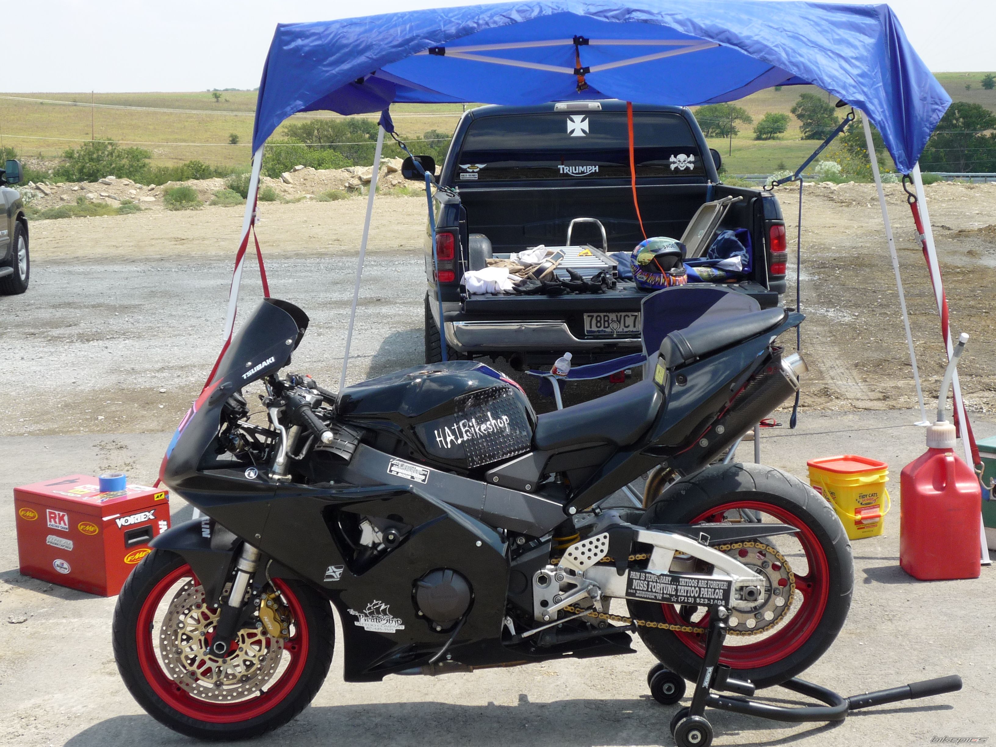 2002 HONDA CBR 900 | Picture 1561900 motorcycle photo