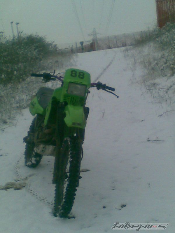 1986 KAWASAKI KLR 250 | Picture 1561910 motorcycle photo