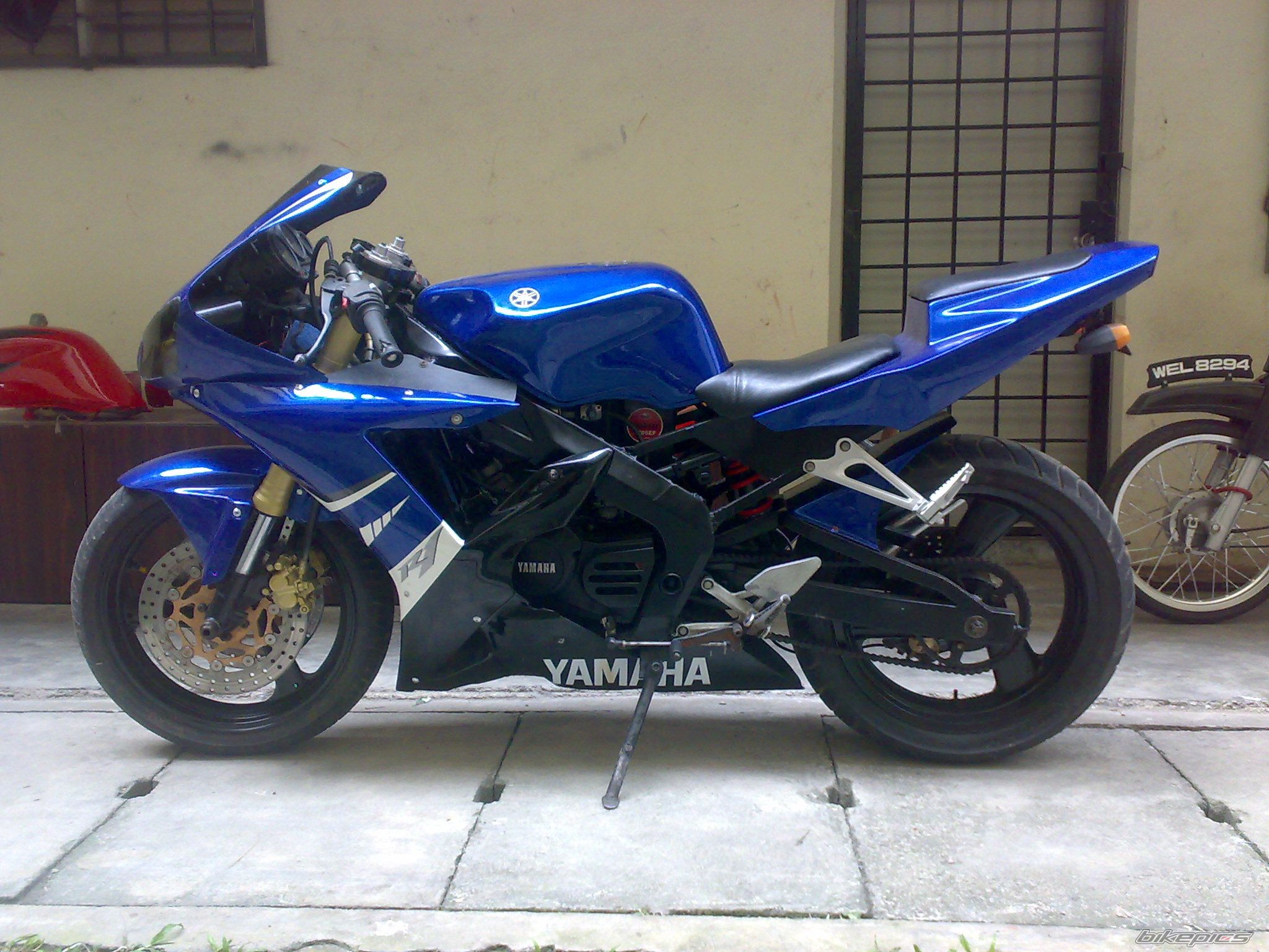 2009 YAMAHA TZM 150 | Picture 1563157 motorcycle photo