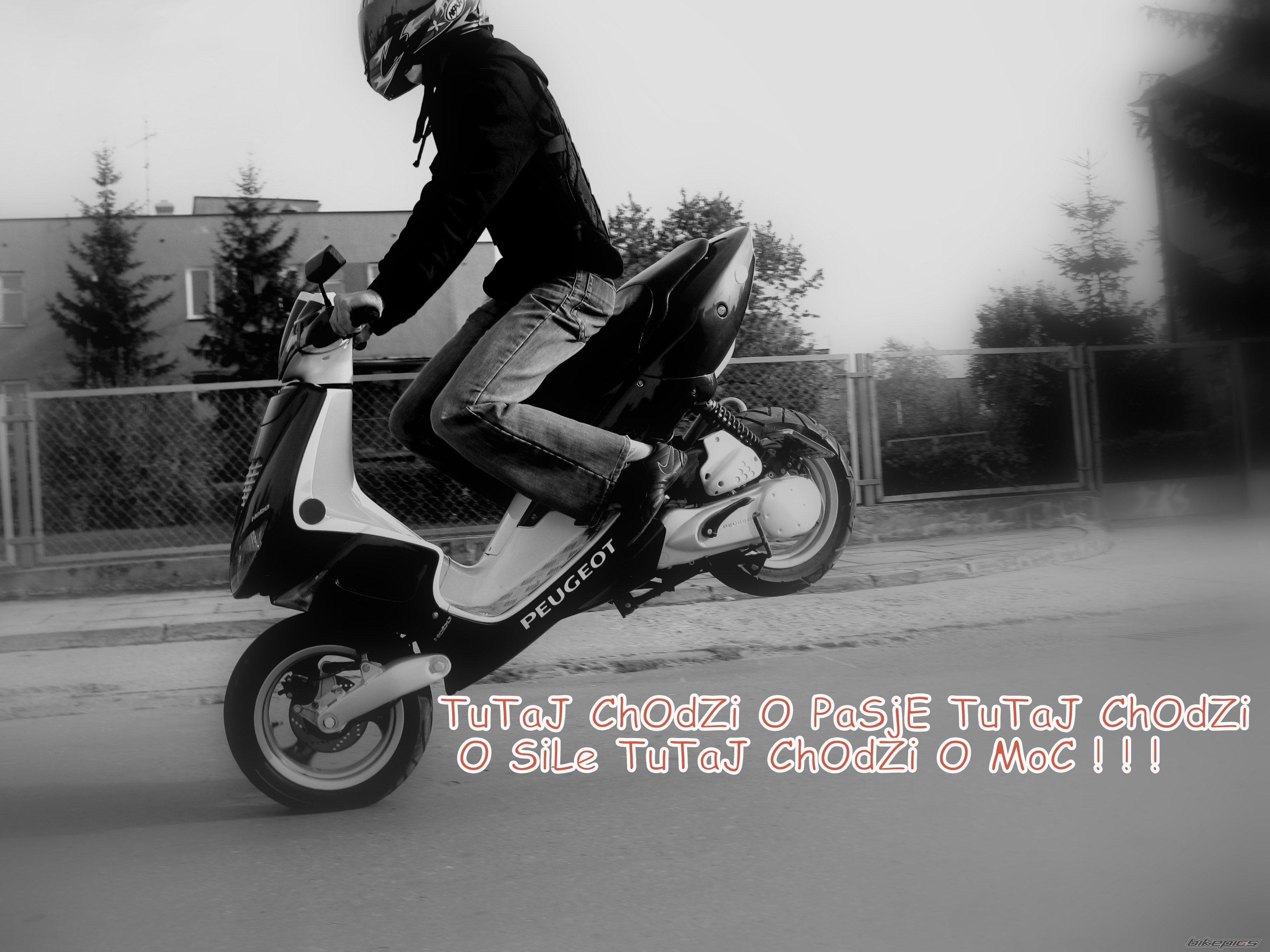1999 PEUGEOT SPEEDFIGHT | Picture 1563258 motorcycle photo