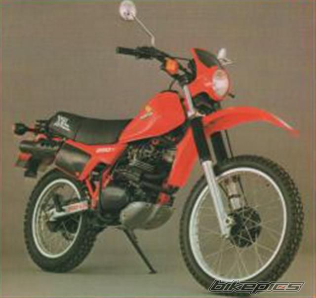 1982 HONDA XL 250 | Picture 1563673 motorcycle photo