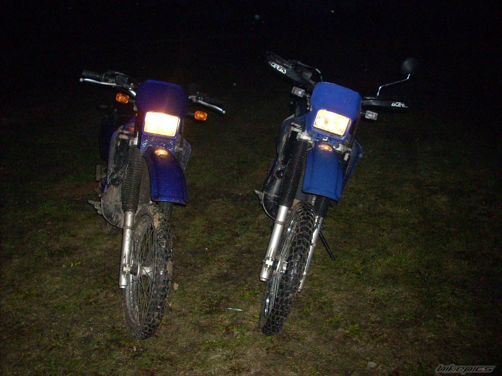    | Picture 1563730 motorcycle photo
