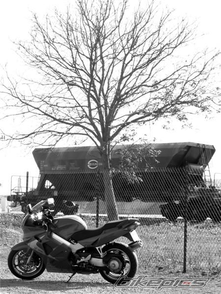 1999 HONDA VFR 800 | Picture 1564159 motorcycle photo