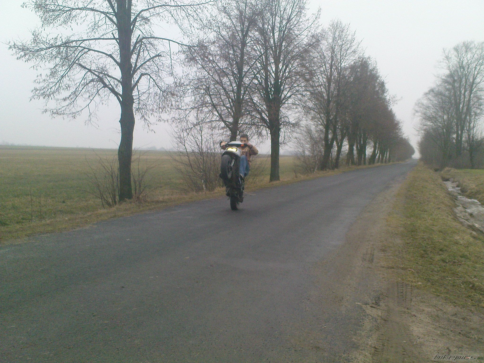    | Picture 1564447 motorcycle photo
