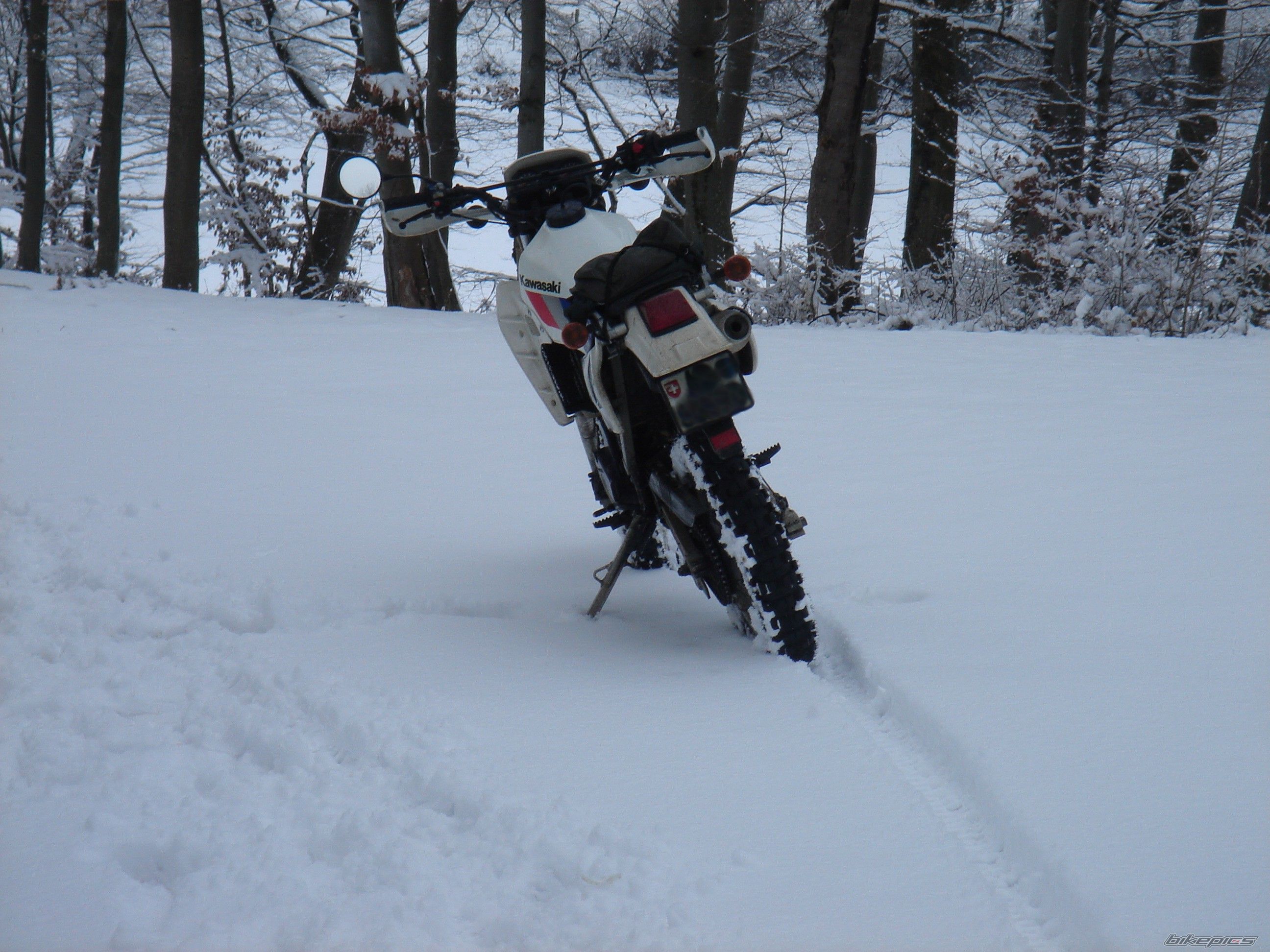 1988 KAWASAKI KLR 600 | Picture 1565009 motorcycle photo
