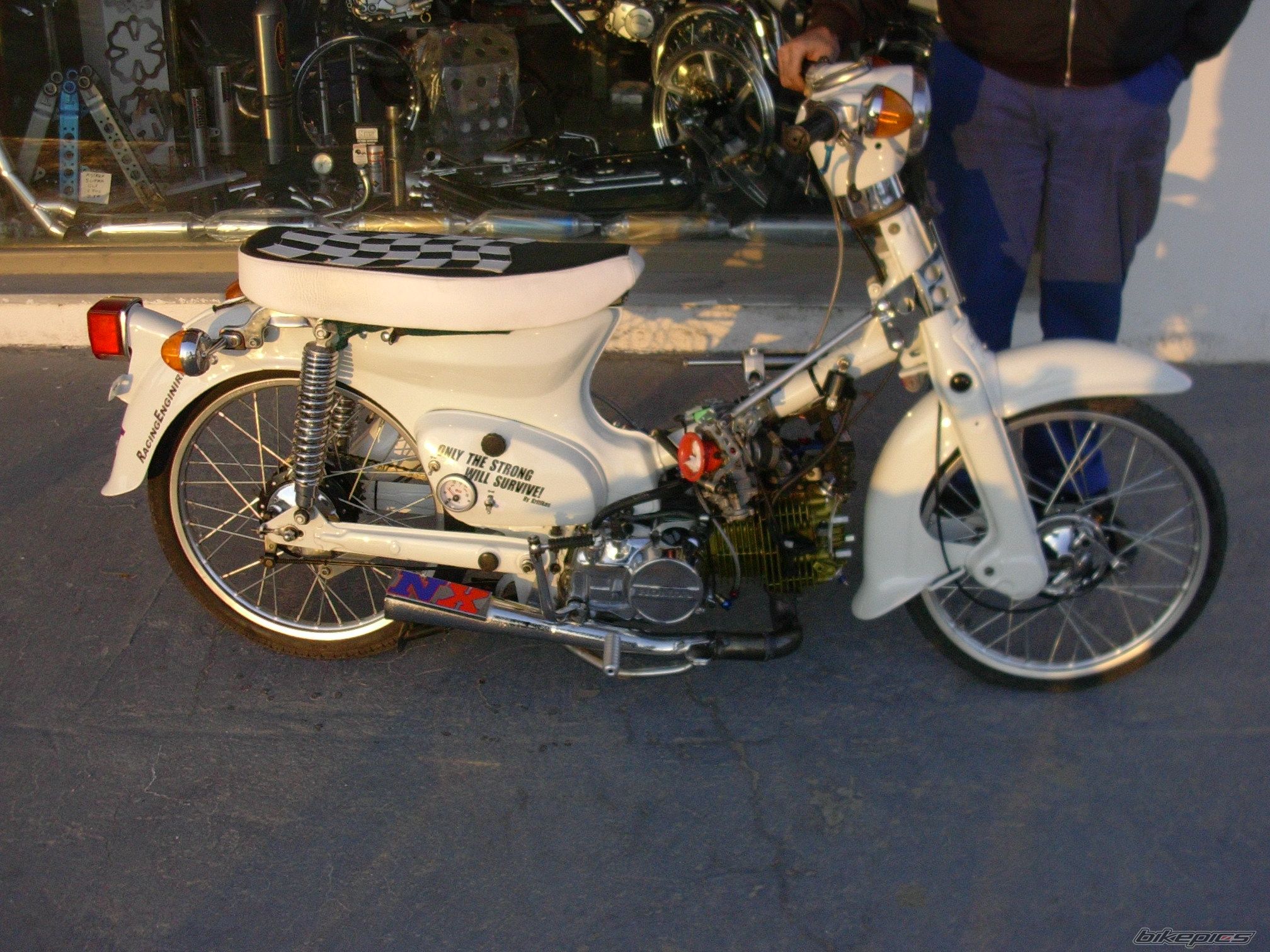 2009 HONDA GLX 50 | Picture 1565162 motorcycle photo