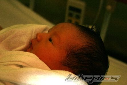    | Picture 1565334 motorcycle photo