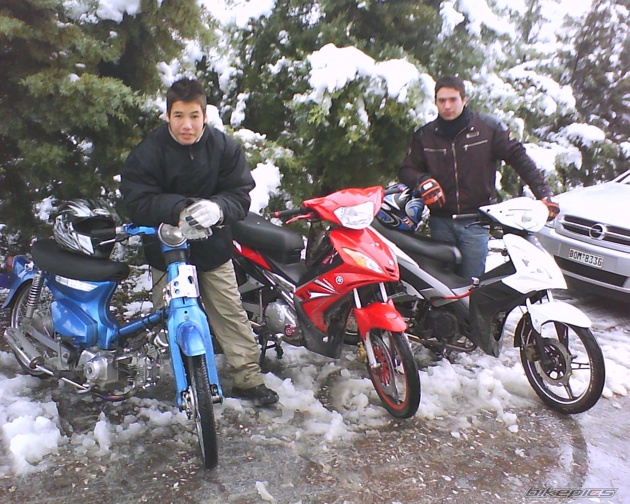 1992 HONDA C 50 | Picture 1566255 motorcycle photo