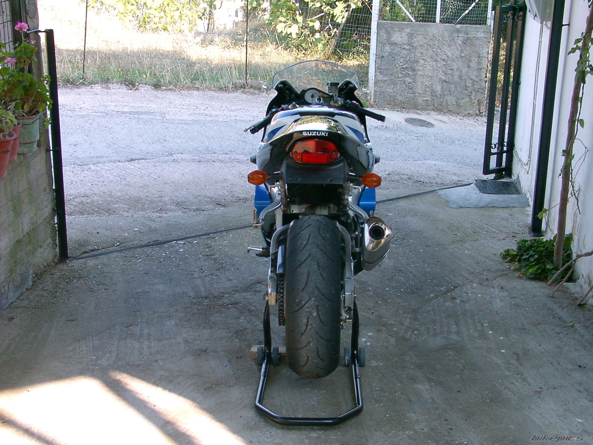 2001 SUZUKI GSX R 1000 | Picture 1566342 motorcycle photo