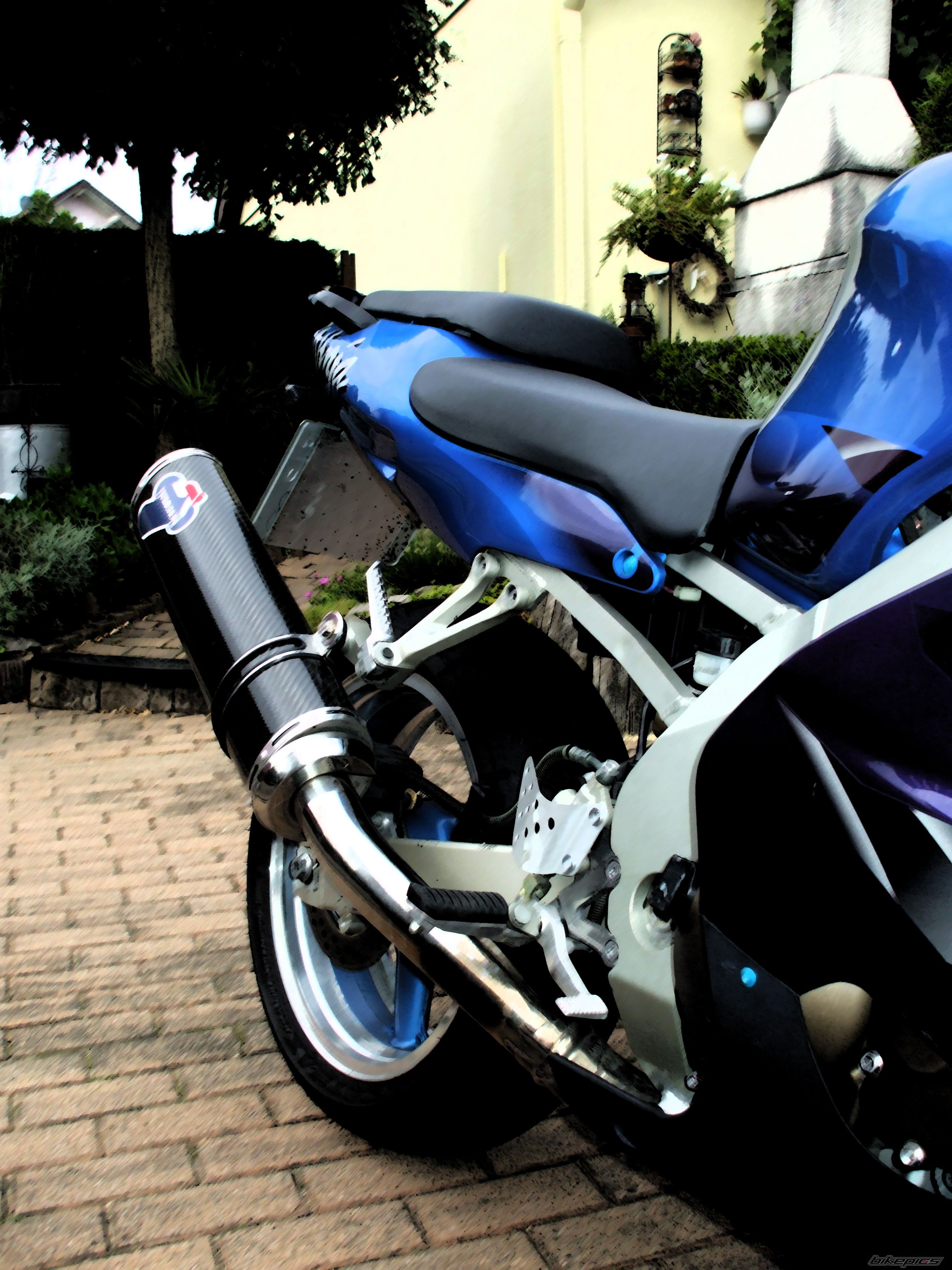 1999 KAWASAKI ZX 9R | Picture 1566487 motorcycle photo