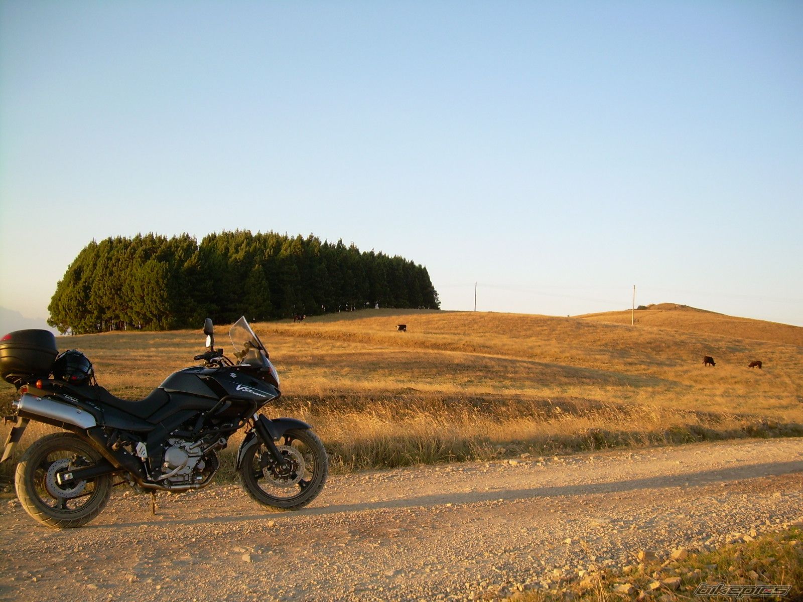 2007 SUZUKI DL 650 | Picture 1566491 motorcycle photo