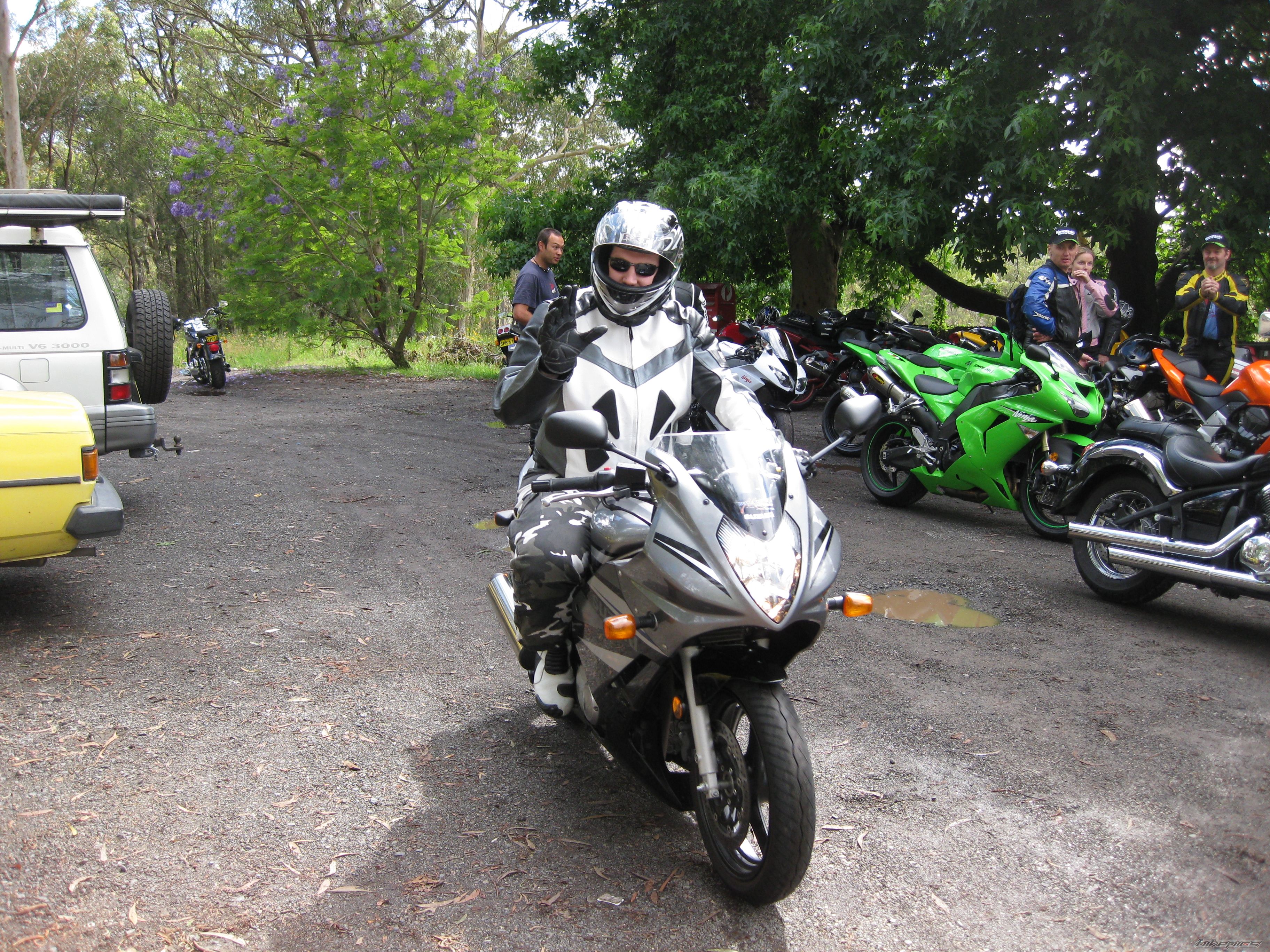 2007 SUZUKI GS 500 | Picture 1566576 motorcycle photo