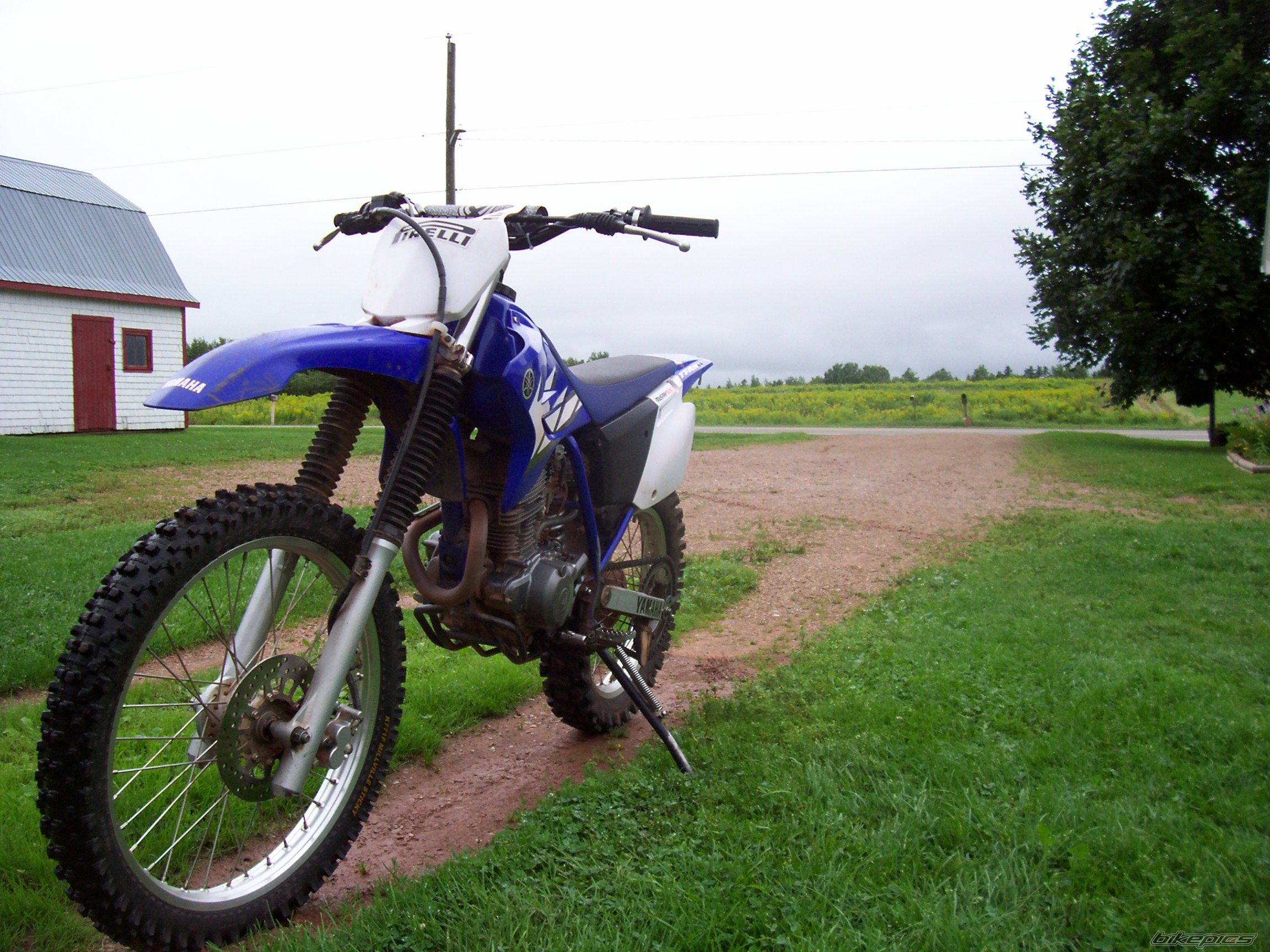 2005 YAMAHA TT R 230 | Picture 1566591 motorcycle photo