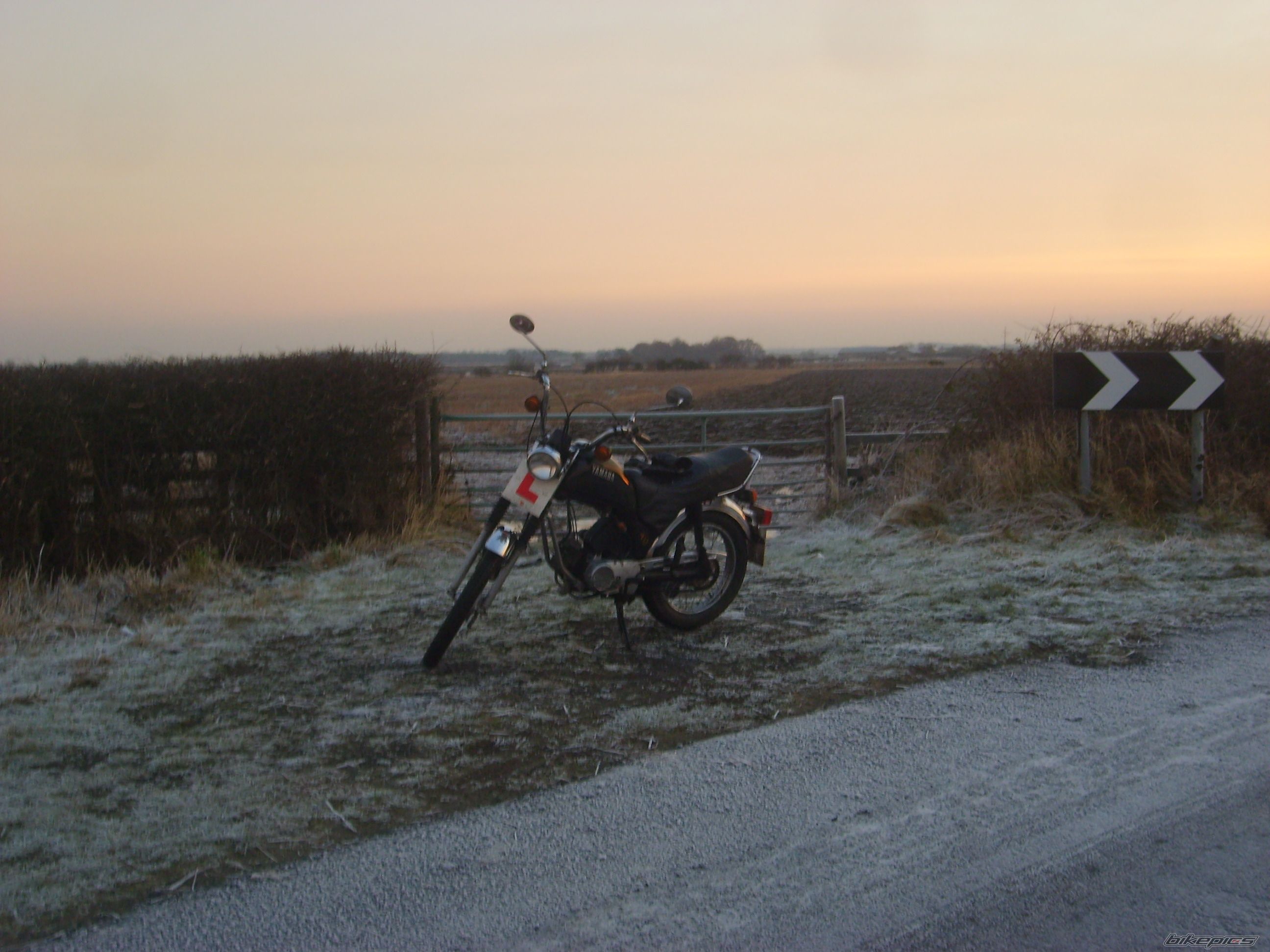 1982 YAMAHA FS1 E | Picture 1567038 motorcycle photo