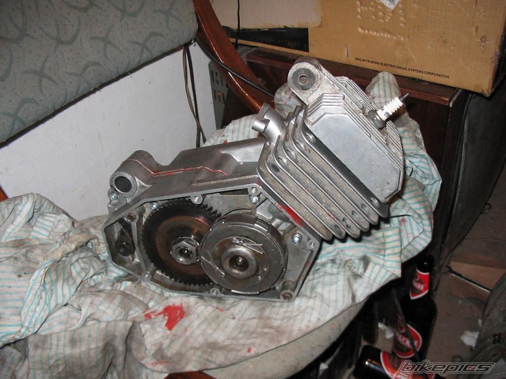 1984 ROMET PONY 50 | Picture 1567311 motorcycle photo