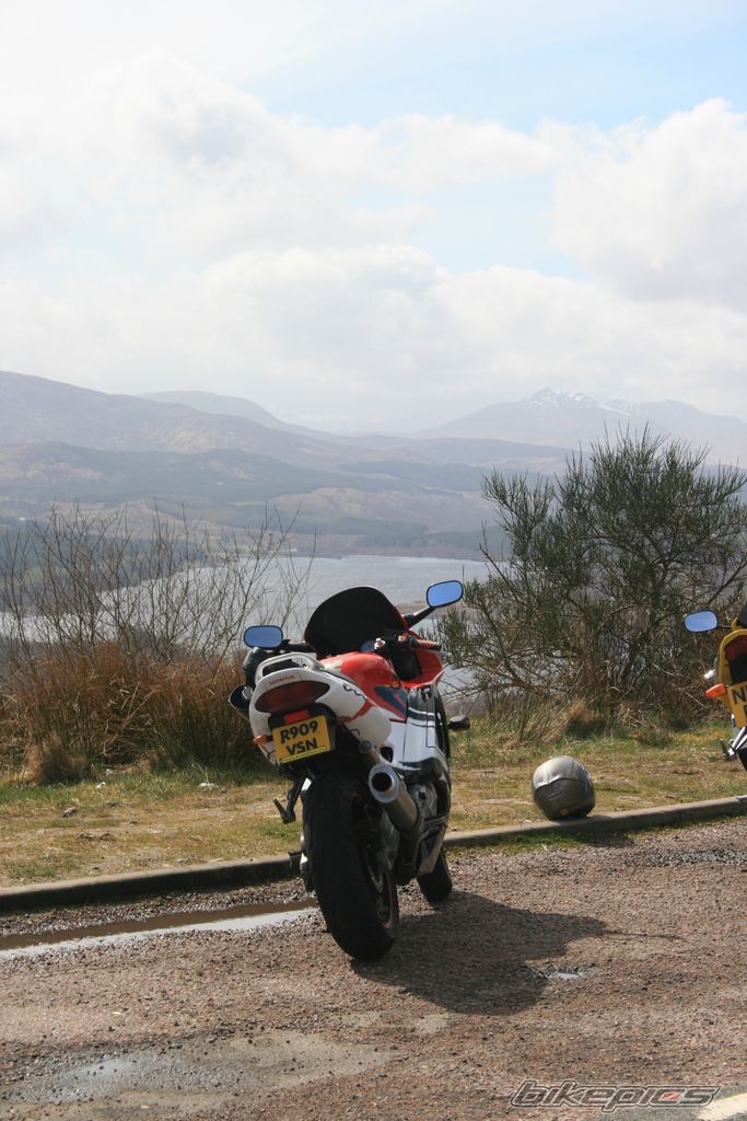 1998 HONDA CBR 600 | Picture 1567756 motorcycle photo