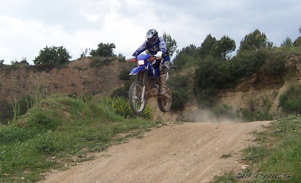 2003 YAMAHA TTR 250 | Picture 156789 motorcycle photo