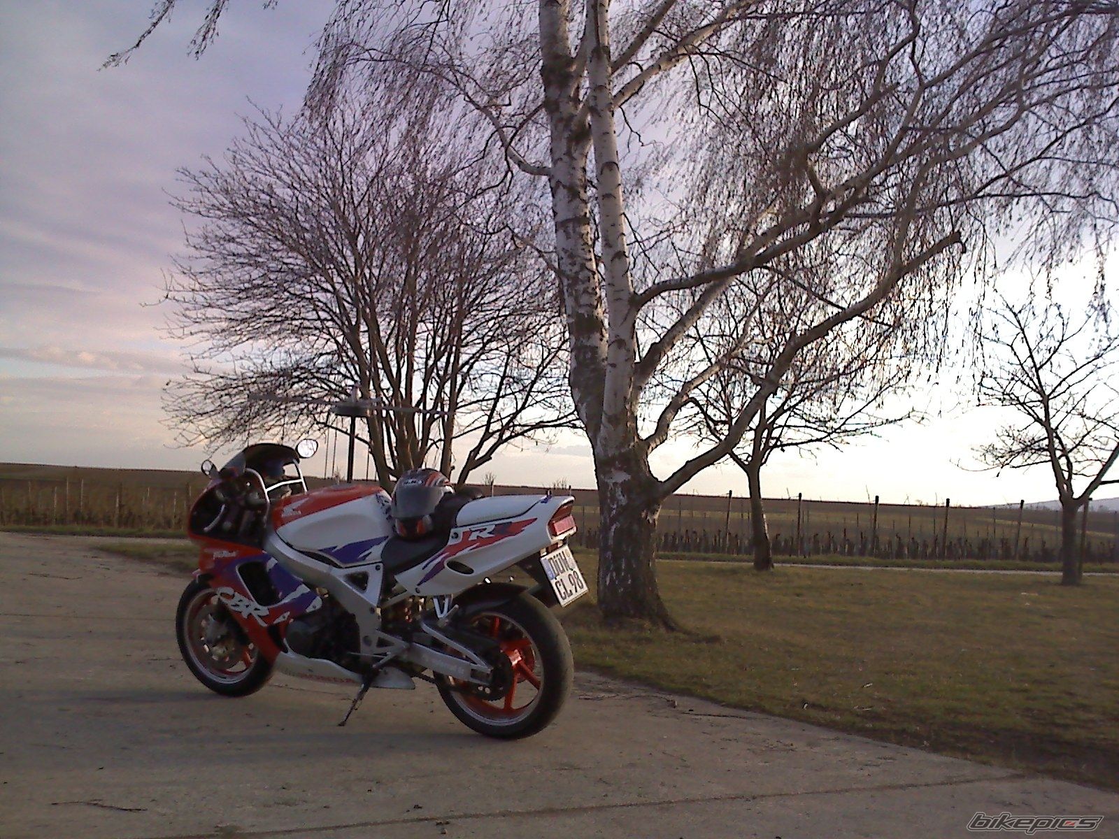 1995 HONDA CBR 900 | Picture 1568304 motorcycle photo