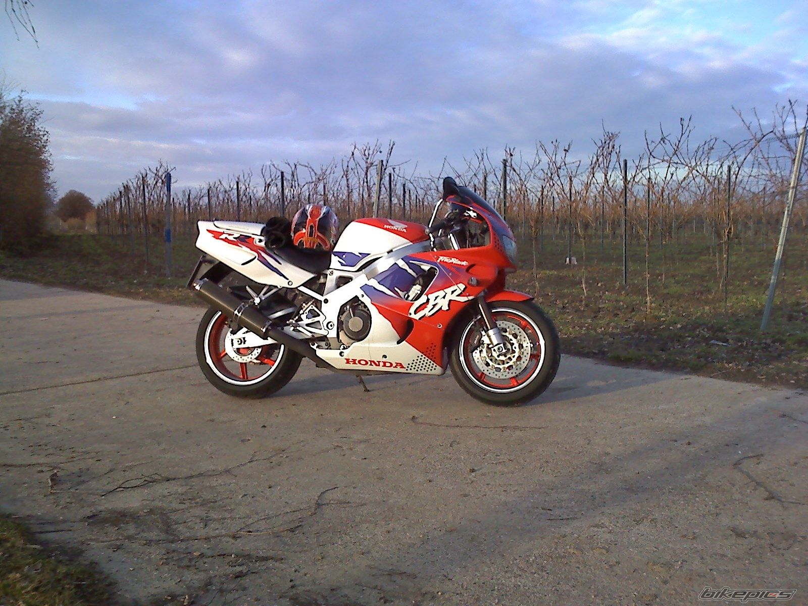 1995 HONDA CBR 900 | Picture 1568313 motorcycle photo