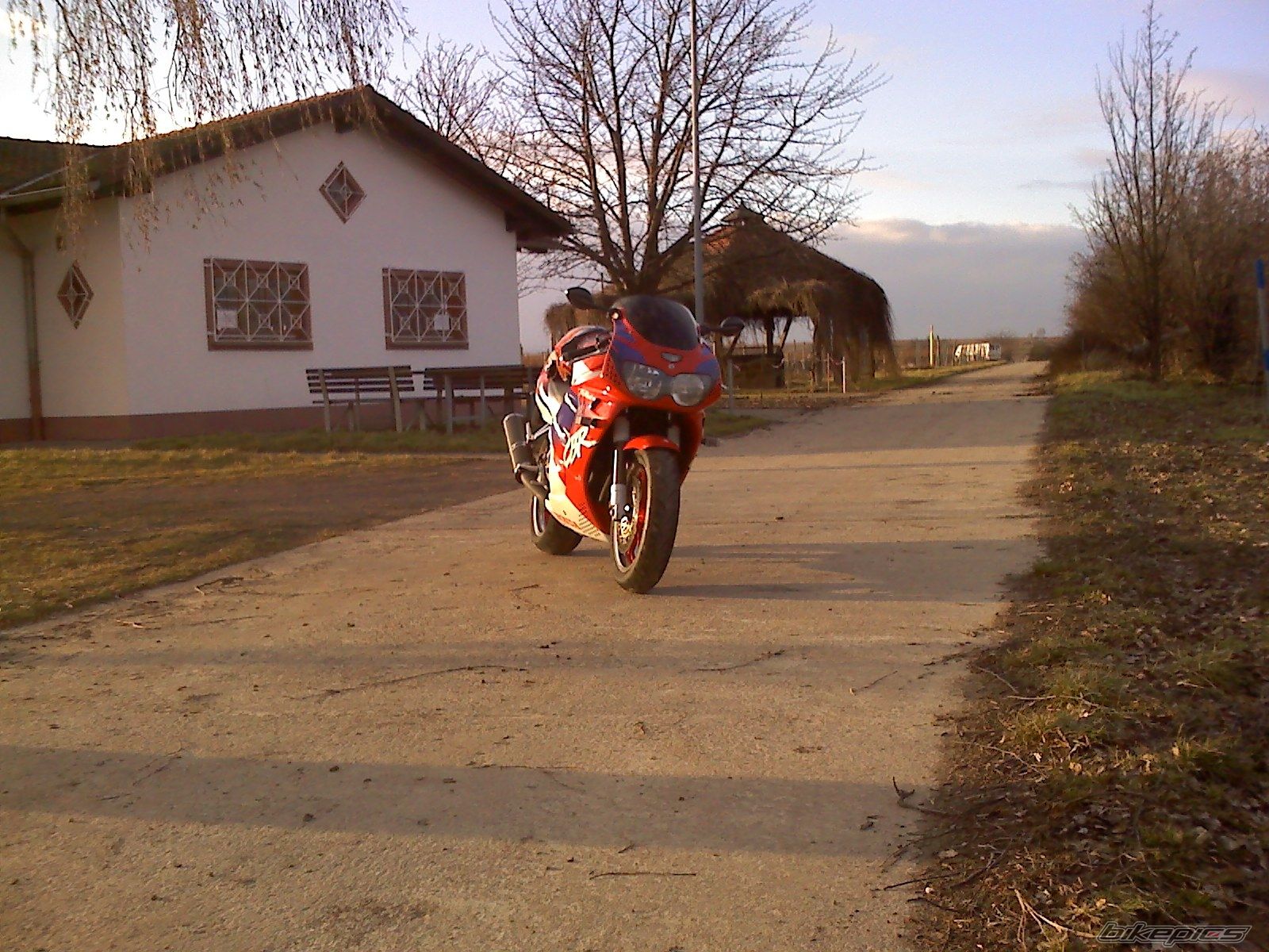 1995 HONDA CBR 900 | Picture 1568320 motorcycle photo