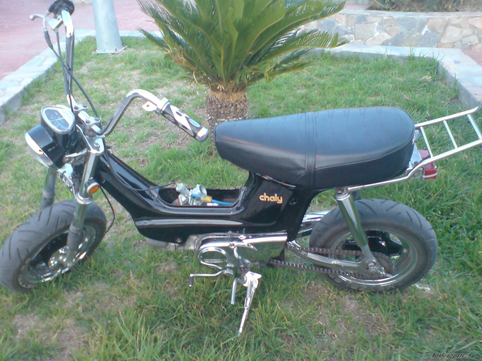 2008 HONDA CHALY | Picture 1568327 motorcycle photo