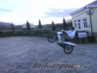 2008 DAYTONA DV 50R | Picture 1568342 motorcycle photo