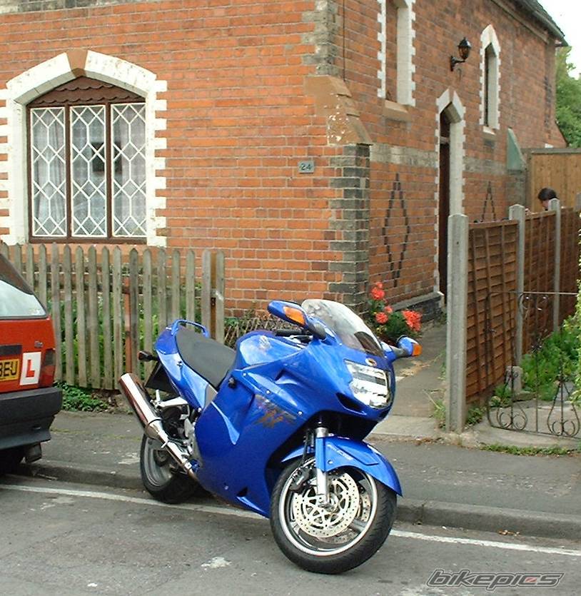 2001 HONDA CBR 1100 BLACKBIRD | Picture 156835 motorcycle photo