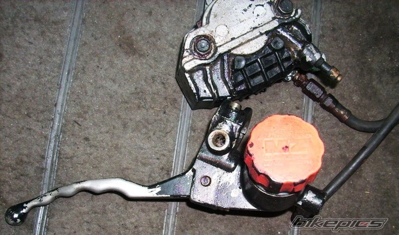    | Picture 1568582 motorcycle photo