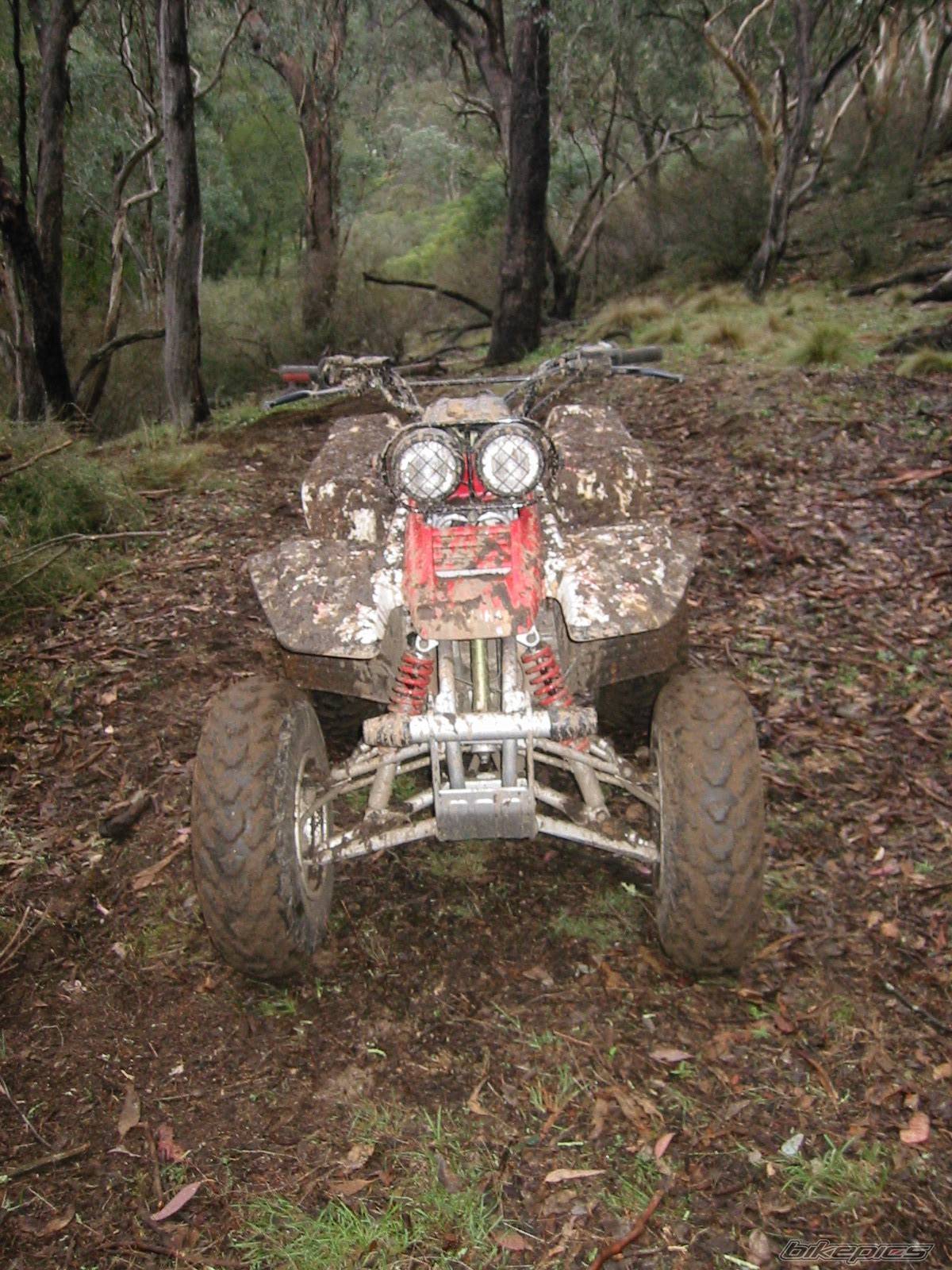 2000 YAMAHA WARRIOR | Picture 156865 motorcycle photo
