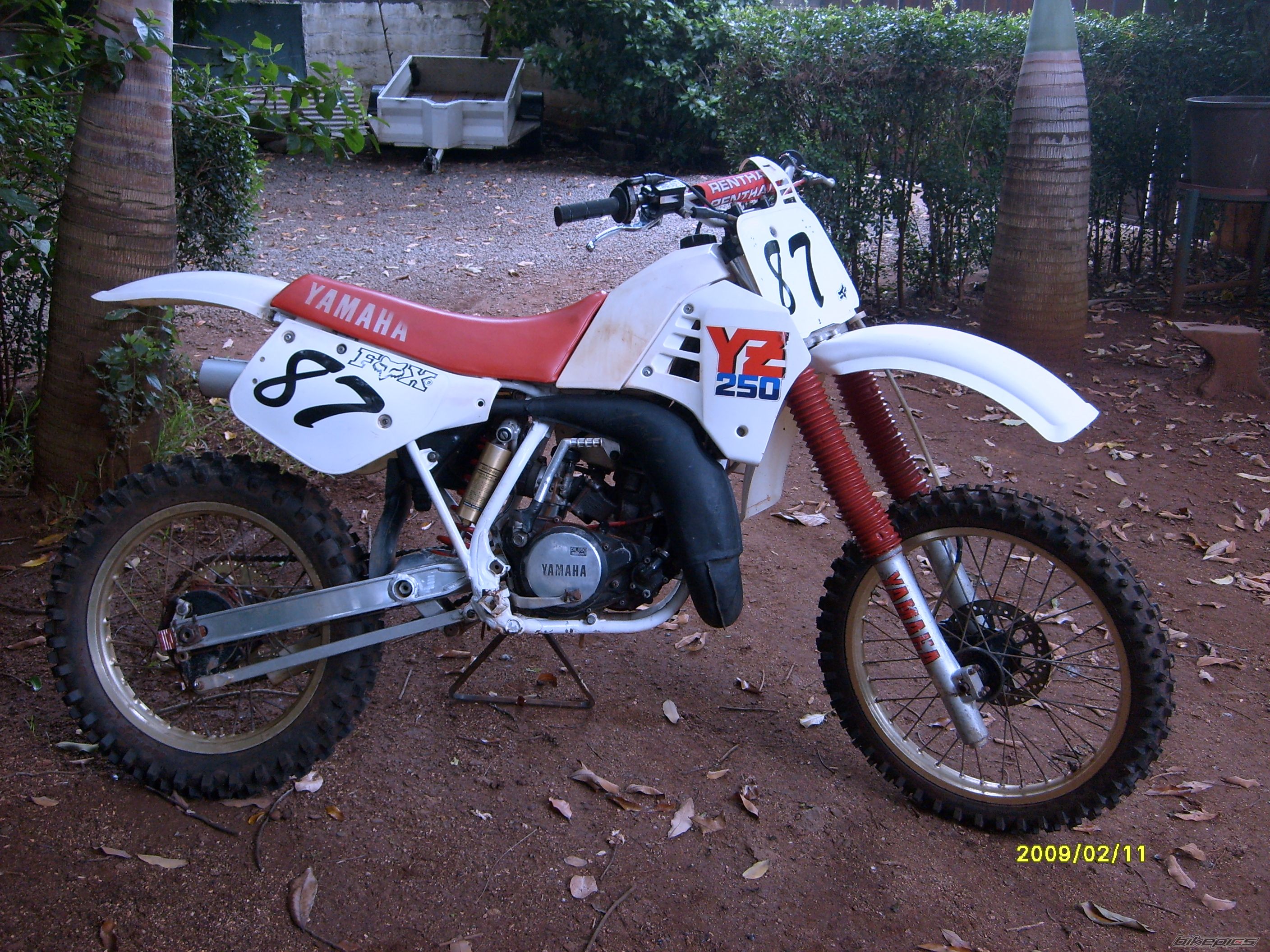 1987 YAMAHA YZ 250 | Picture 1568734 motorcycle photo