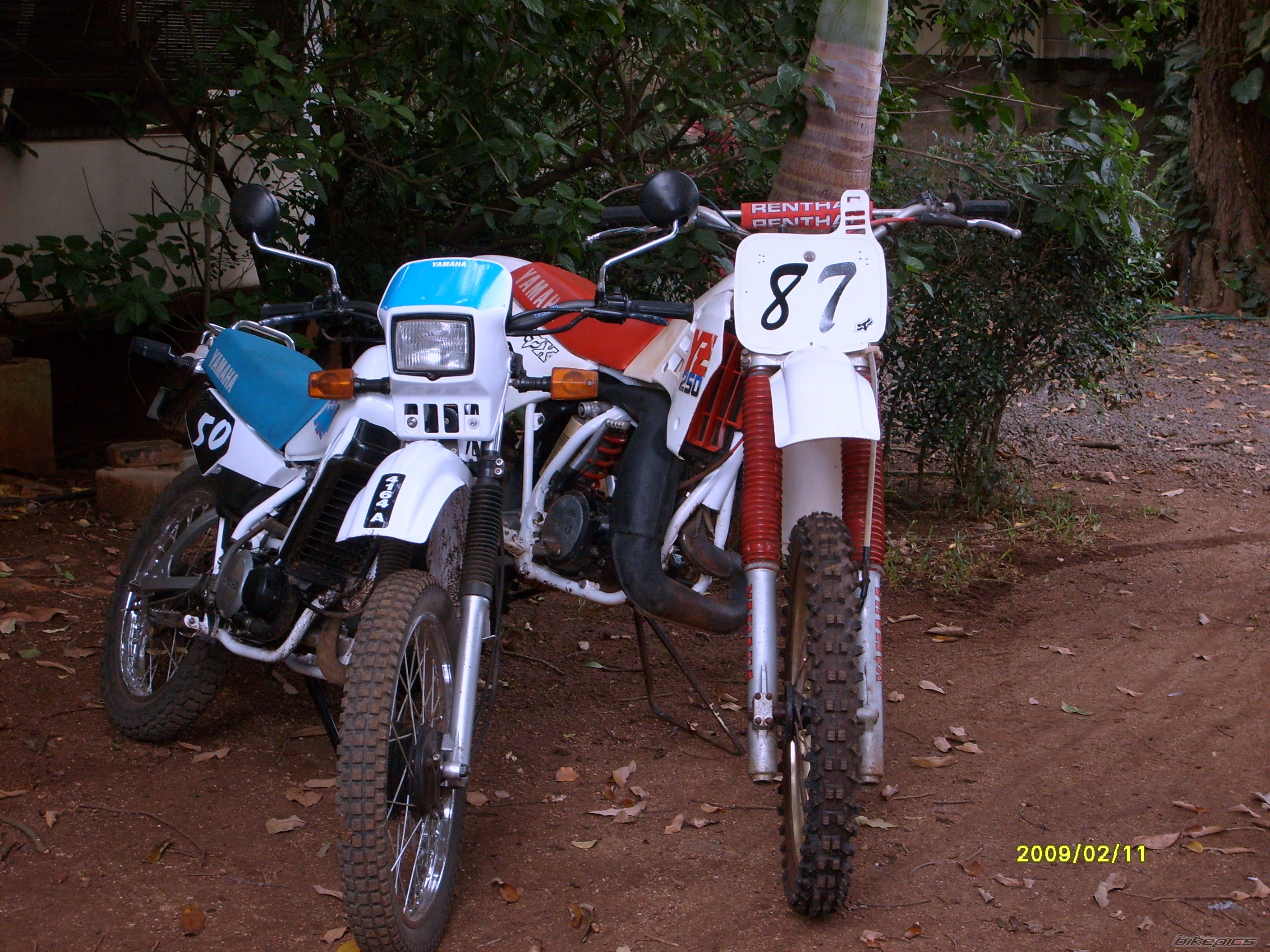 1987 YAMAHA YZ 250 | Picture 1568742 motorcycle photo