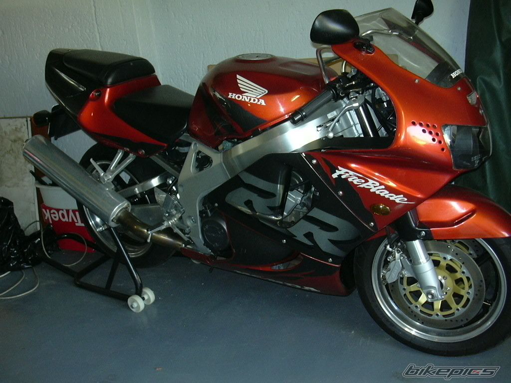1998 HONDA CBR 900 | Picture 1569055 motorcycle photo